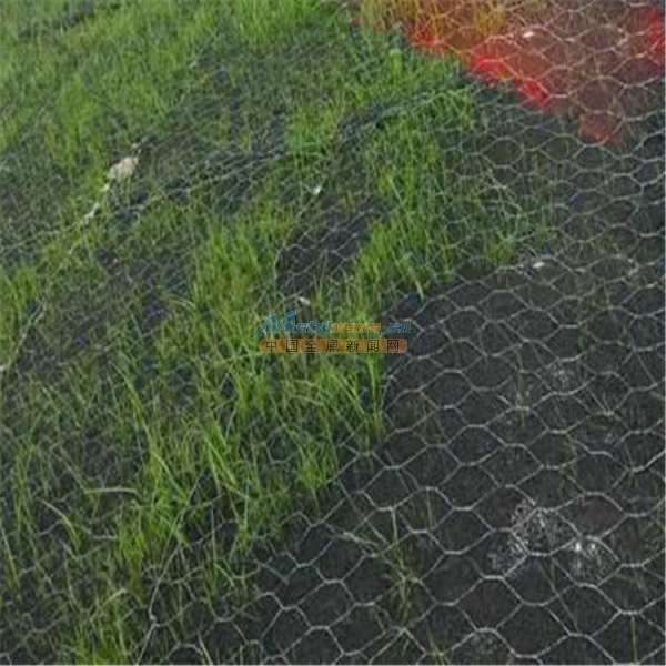 廣西加筋麥克墊護坡與防洪植草的應(yīng)用