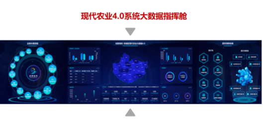 黑龍江省創新農業物權融資 農業產業互聯網科技公司的信息技術咨詢服務新探索